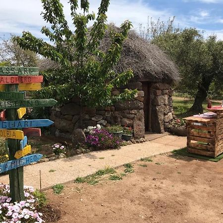 Azienda Agricola Affittacamere S'Ispinalba Di Laura Pitzolu Borore Екстер'єр фото