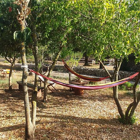 Azienda Agricola Affittacamere S'Ispinalba Di Laura Pitzolu Borore Екстер'єр фото